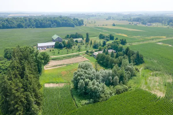 3269 Concession 7 N/A, Adjala-tosorontio, ON L0G 1L0