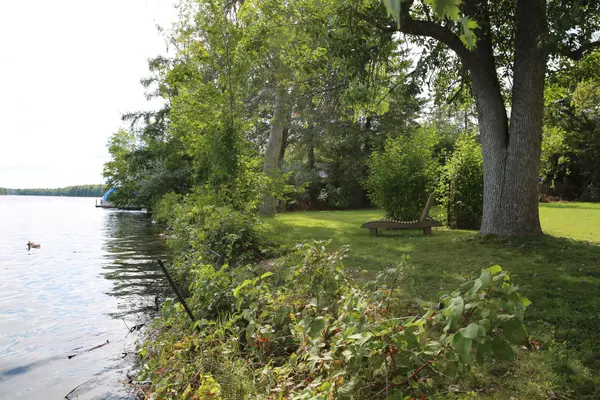 35 North Water ST, Kawartha Lakes, ON K0M 1K0