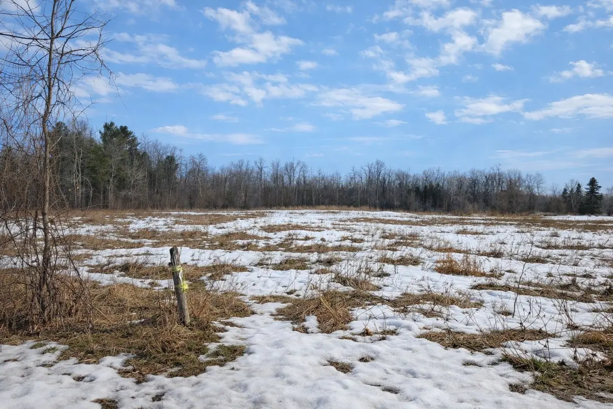 00 Hurley RD, Edwardsburgh/cardinal, ON K0E 1X0