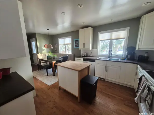 236 1st STREET E, Leader, SK S0N 1H0