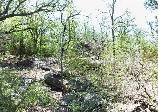 TBD Hwy 377 S, Brookesmith, TX 76827