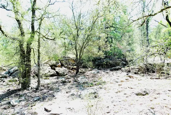 TBD Hwy 377 S, Brookesmith, TX 76827