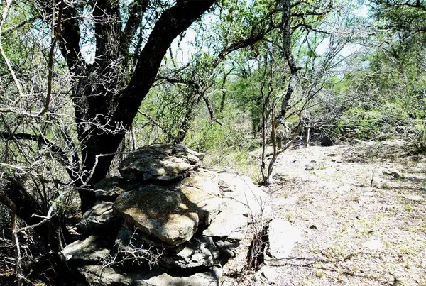 TBD Hwy 377 S, Brookesmith, TX 76827