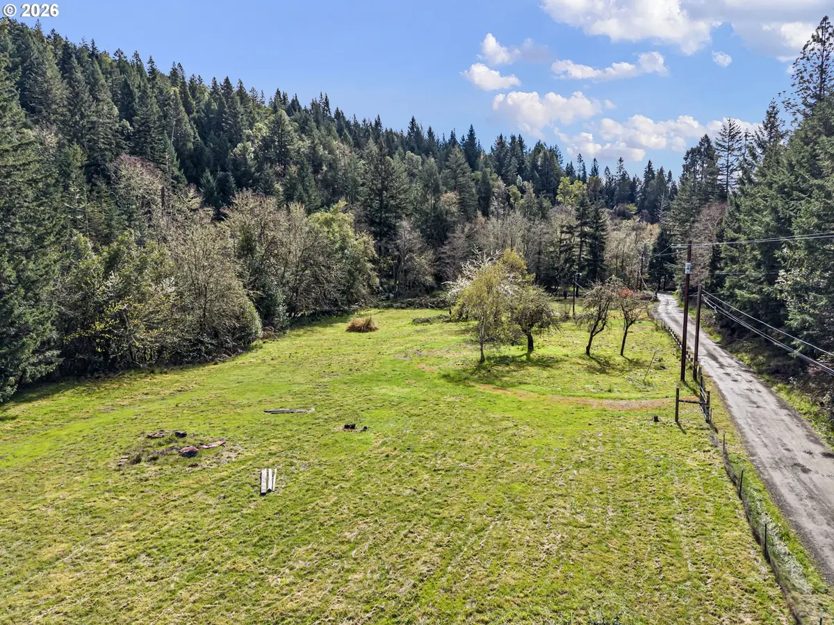 505 SIBOLD CANYON RD, Tenmile, OR 97481