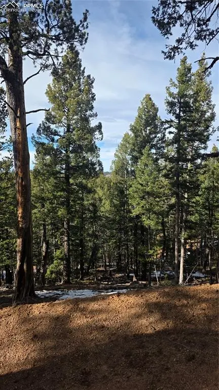 321 Tillicum TRL, Woodland Park, CO 80863