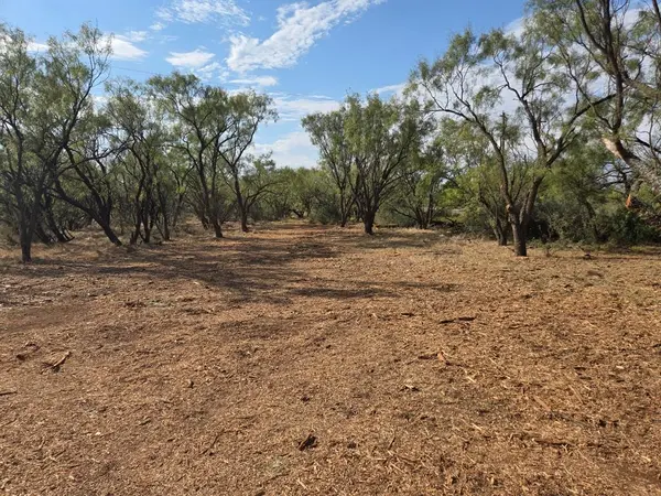 6525 US 180, Anson, TX 79501