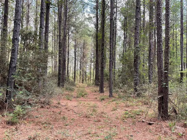 Lot 2B & 2C Fuller Springs Drive, Lufkin, TX 75901