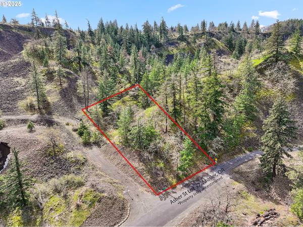 Asher Street #37, Mosier, OR 97040