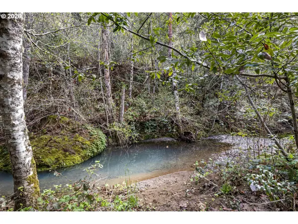 505 SIBOLD CANYON RD, Tenmile, OR 97481