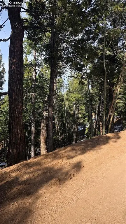 321 Tillicum TRL, Woodland Park, CO 80863