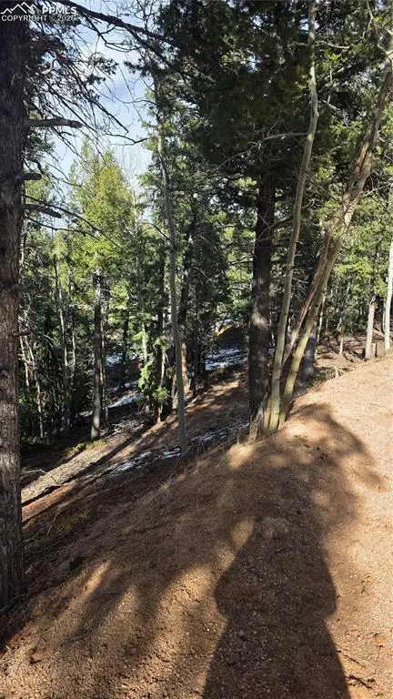 321 Tillicum TRL, Woodland Park, CO 80863