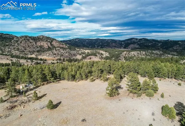 000 Twinkle RD, Guffey, CO 80820