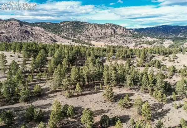 000 Twinkle RD, Guffey, CO 80820