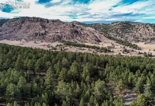 000 Twinkle RD, Guffey, CO 80820