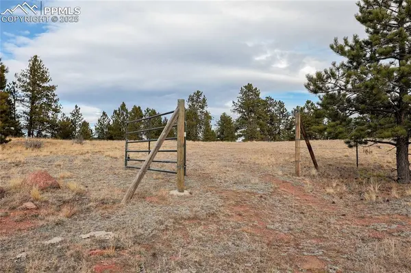 000 Twinkle RD, Guffey, CO 80820