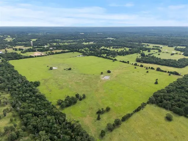 0000 VZ CR 4607 Road, Ben Wheeler, TX 75754