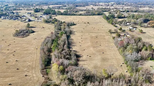 TBD County Road 4200, Winnsboro, TX 75494