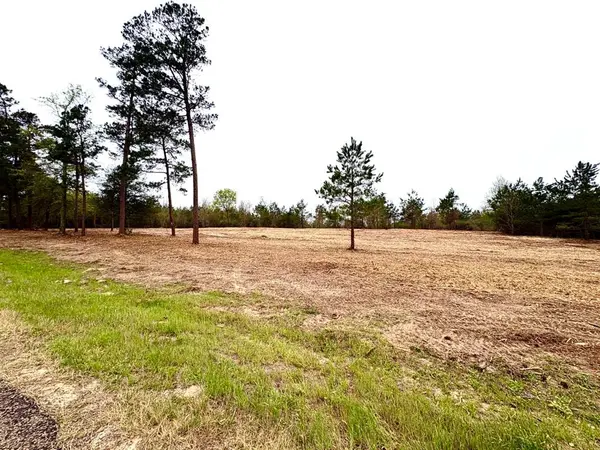 TBD (Tract B) FM 711, Center, TX 75935