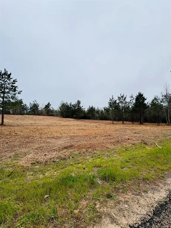 TBD (Tract B) FM 711, Center, TX 75935