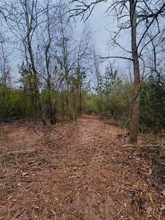 TBD (Tract B) FM 711, Center, TX 75935