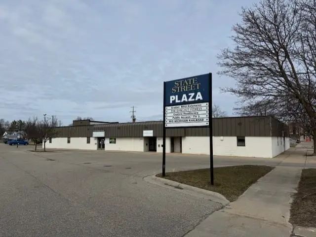 217 N State, Alma, MI 48801
