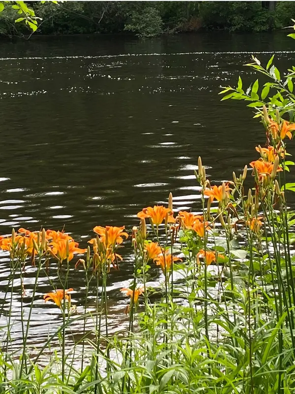 3000 Whelan WAY, Ramara, ON L0K 2B0