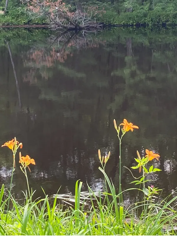 3000 Whelan WAY, Ramara, ON L0K 2B0