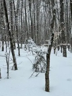 0 Providence DR, Algonquin Highlands, ON K0M 1S0