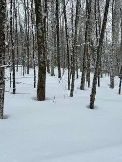 0 Providence DR, Algonquin Highlands, ON K0M 1S0