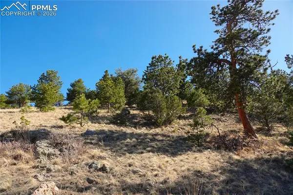 Lot 1 County Road 5, Canon City, CO 81212