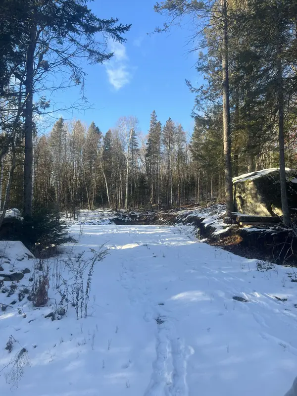 Lot 4 Lawson RD, Kearney, ON P0A 1J0