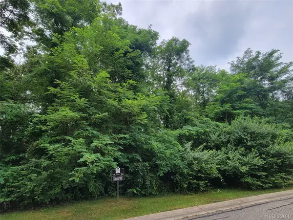 Lot 24 - Rexford CT, Hamburg Twp, MI 48116