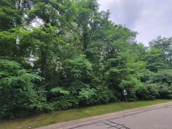 Lot 25 - Rexford CT, Hamburg Twp, MI 48116