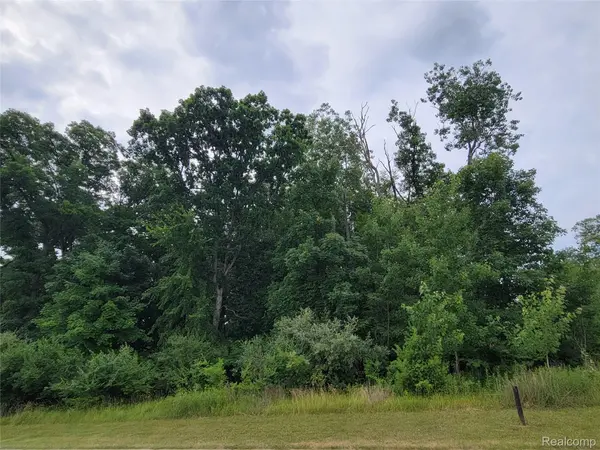 Lot 14 - 5972 Wyndam LN, Hamburg Twp, MI 48116