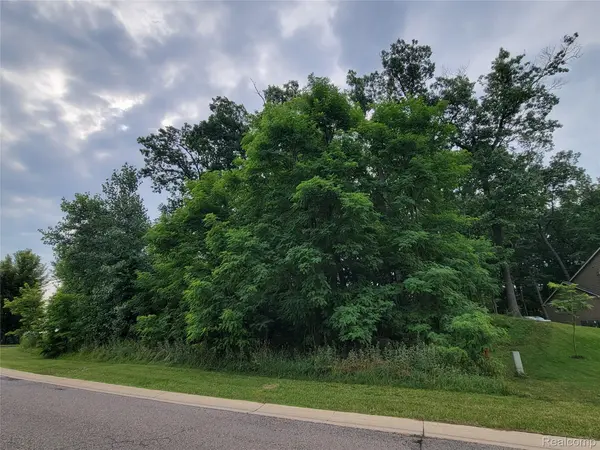 Lot 55 - Wyndam LN, Hamburg Twp, MI 48116