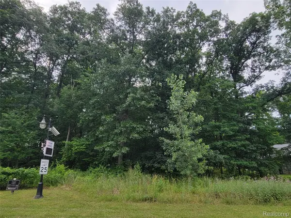 Lot 58 - Wyndam LN, Hamburg Twp, MI 48116