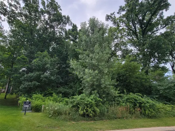 Lot 60 - 5876 Wyndam LN, Hamburg Twp, MI 48116