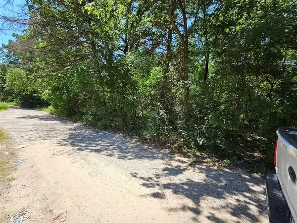 Lot 1 Bird Hill Drive, Quinlan, TX 75474