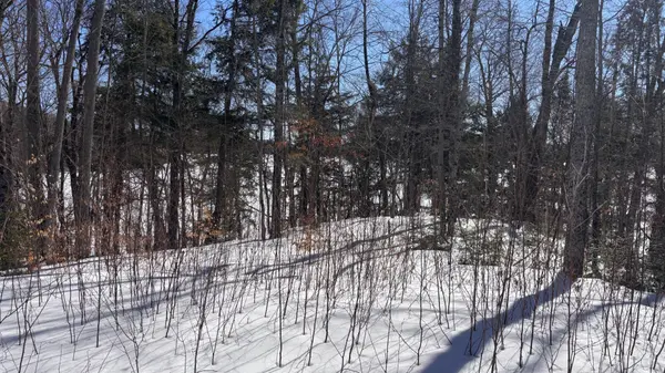 Lot 26 Flatwater Cove TRL, Dysart Et Al, ON K0M 1S0