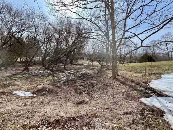 LT 214 215 ALBERT ST, Howick, ON N0G 1X0