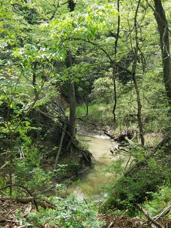 0 Fleming Road, Bells, TX 75414