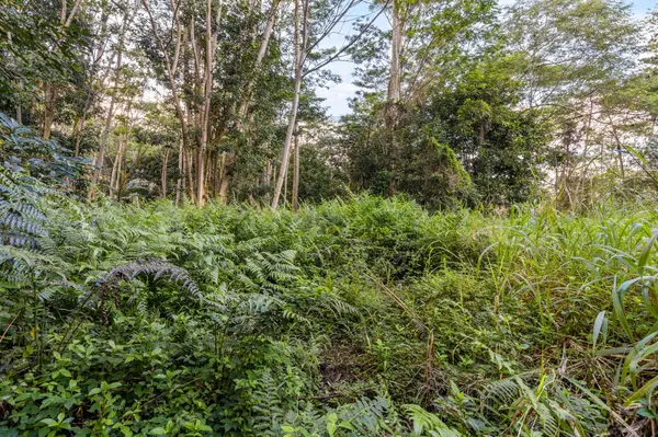 17-855 OLAA RD, Kurtistown, HI 96760