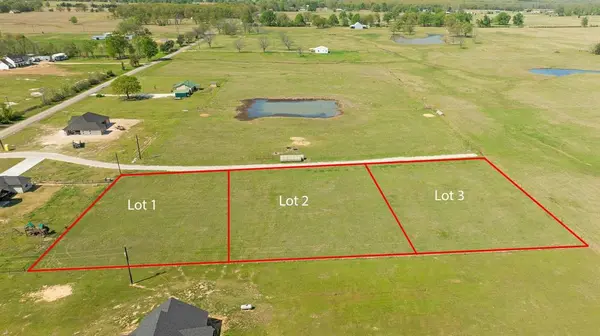 000 Lot 1 Twin Trails, Blossom, TX 75416