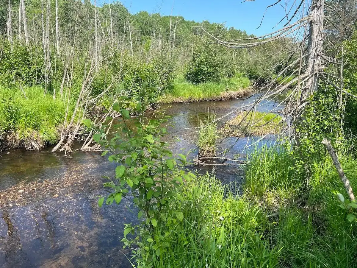 188 W Procunier RD, Millen Twp, MI 48745