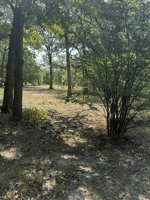 928 County Road 1660, Alba, TX 75410