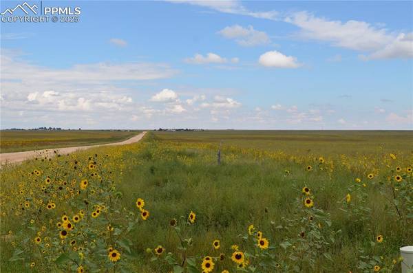 Parcel 6 County Road 2,  Rush,  CO 80833