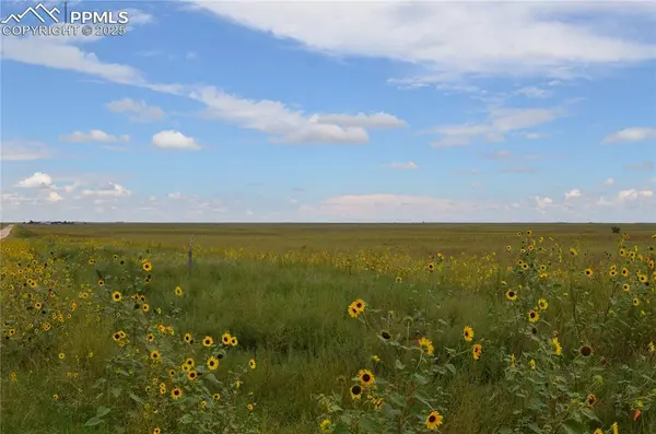 Parcel 6 County Road 2, Rush, CO 80833