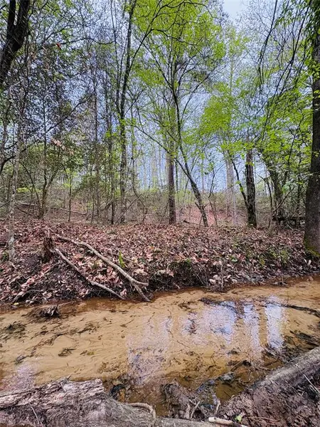 TBD (Tract A) FM 711, Center, TX 75935