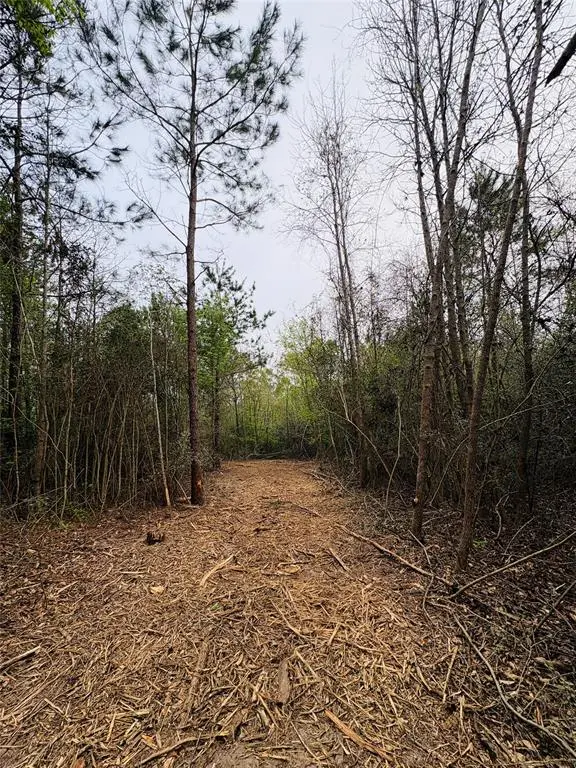 TBD (Tract A) FM 711, Center, TX 75935