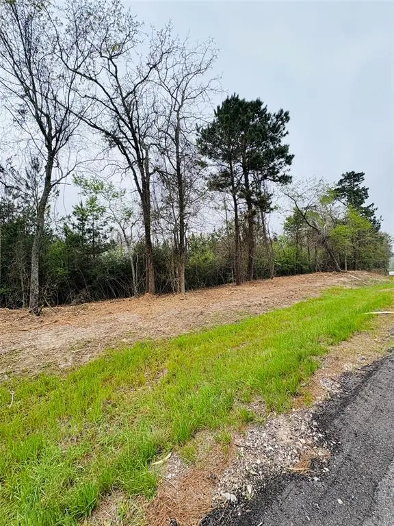 TBD (Tract A) FM 711, Center, TX 75935